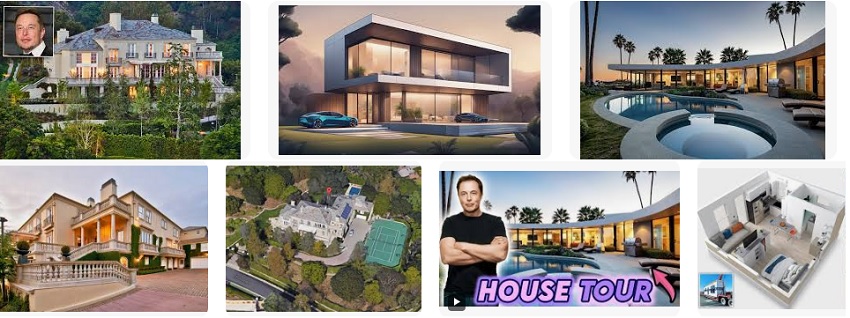 Elon Musk house